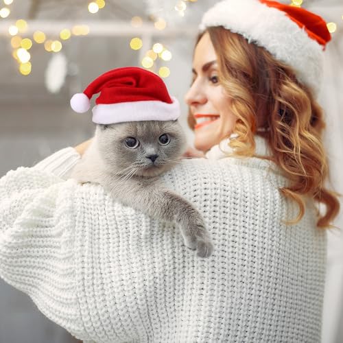 Conjunto de 4 peças de fantasia de Natal para animais de estimação, roupas de Natal ajustáveis para