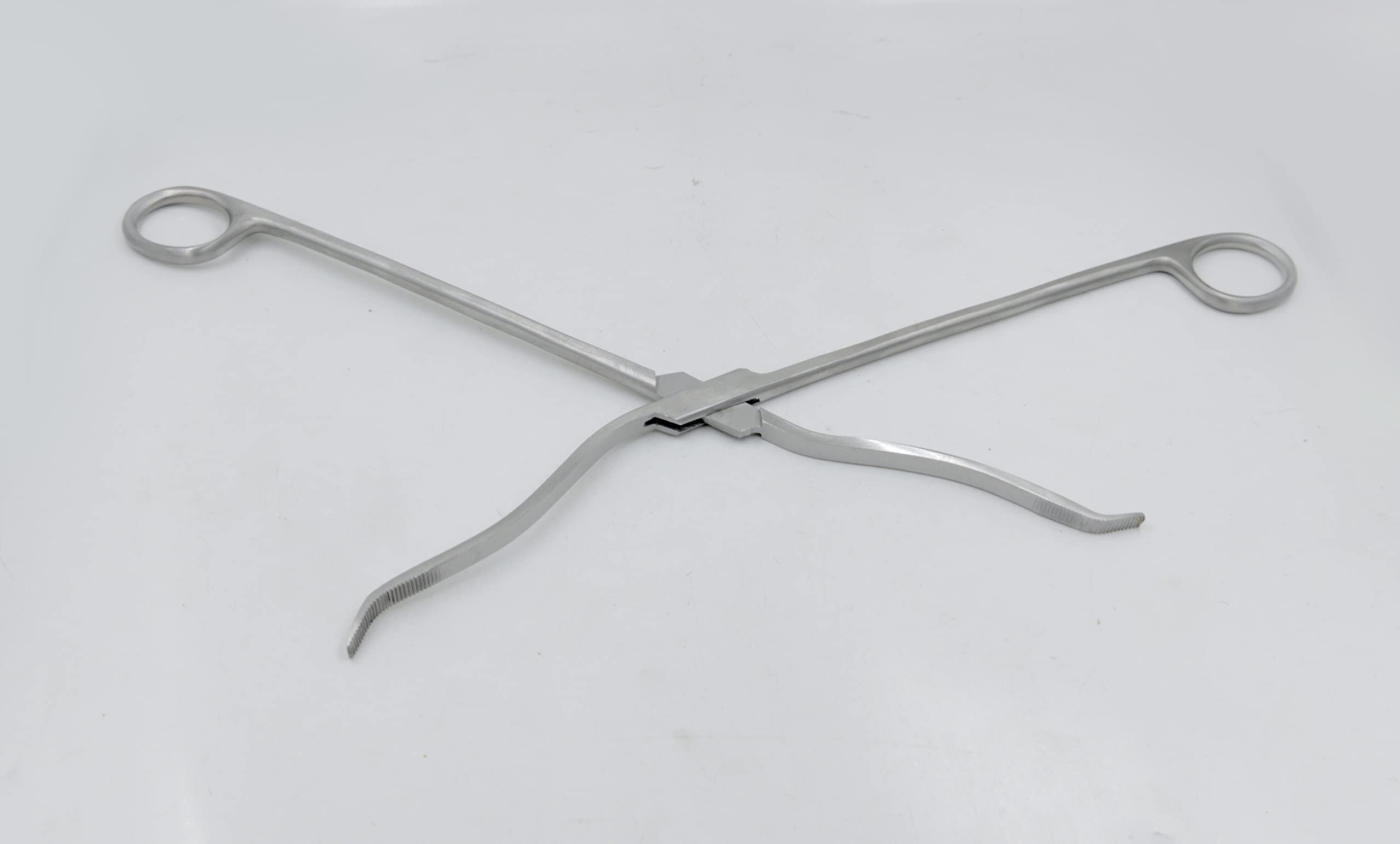 Bos Medicare Surgical® Cheatle Forceps (10 Inch) SS (B09XF8PQNS) Amazon Price History, Amazon Price Tracker
