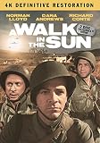 A Walk In The Sun: The Definitive Restoration (2-disc Collector's Set) [DVD]