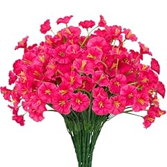 Morning Glory Fuchsia