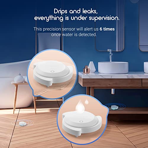 Inkbird Irs-Wd1 Smart Water Leak Sensor, Ip67 Waterproof, Real-Time Alarms, Compatible With Inkbird Ibs-M2 Wi-Fi Gateways (Without Gateway) #TOP4