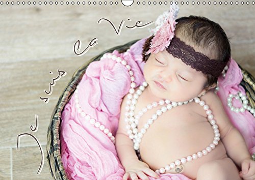 Calendrier mural 2019 original à offrir comme cadeau de naissance ou pour jeunes parents