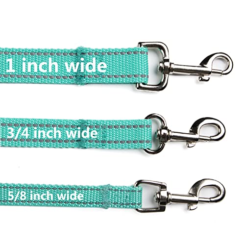 Oefeo 6Ft Reflective Dog Leash For Large&Medium And Small Dogs, Strong And Durable Nylon Leashes For Walking And Training, Heavy Duty 6 Foot Dog Leash With D Ring For Puppy (Turquoise, 3/4 Inch X 6Ft) #TOP3