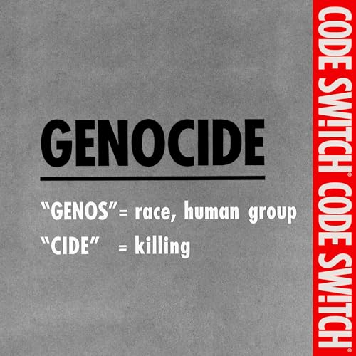 The stakes of calling Israel's actions in Gaza a genocide cover art