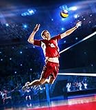 「スパイク バレーボール」の関連画像