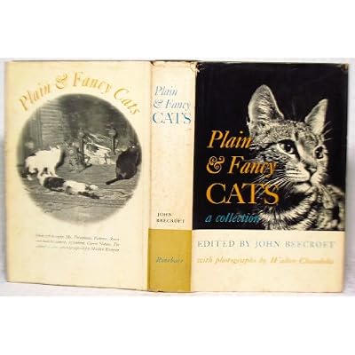 Plain and Fancy Cats