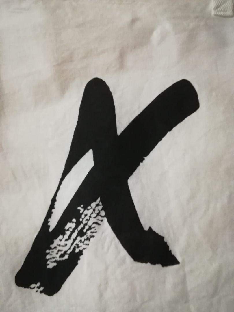 Amazon.co.jp: X JAPAN 初期 のれん タペストリー : ホビー