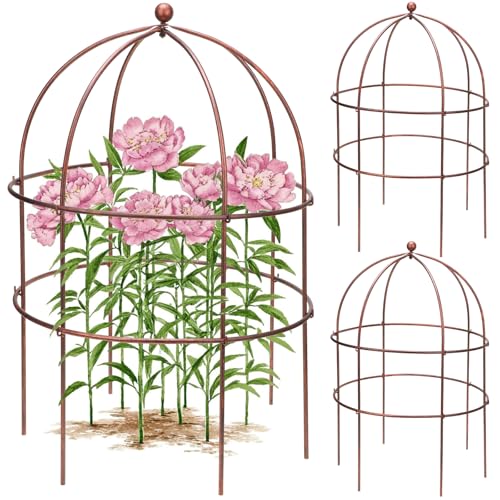 2 Pcs Jardin Bird Cage Plant Support 25" H Large Sturdy Grow-Through Flower Support Peony Cage Climbing Plant Support Trellis Sculptural Garden Decor for Perennial Flowers Vintage Gold