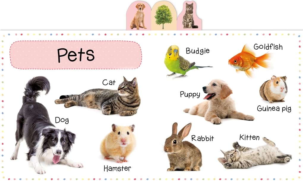 My First 100 Words (ENGLISH EDUCATIONAL BOOKS)