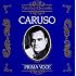 Prima Voce Caruso
