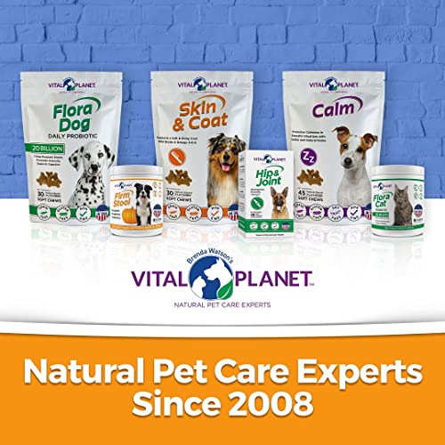 Vital Planet - Firm Stool – Dog Stool Hardener, Eliminates Diarrhea And Gas - Pumpkin, Probiotics And Prebiotics For Healthy Digestion, Fiber For Firmer Stools And Regularity - 111 Grams 30 Servings #TOP4