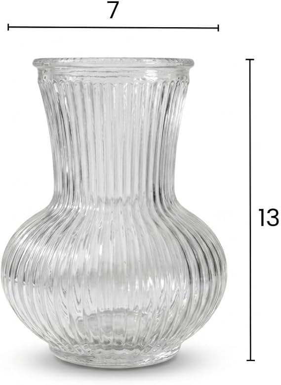 Deconox Pure Model El Yapımı Üfleme Cam Küçük Vazo - Şeffaf Optikli Dekoratif Çiçeklik 13x7 cm