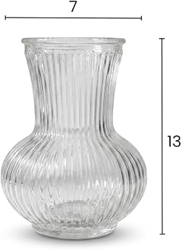 Deconox Pure Model El Yapımı Üfleme Cam Küçük Vazo - Şeffaf Optikli Dekoratif Çiçeklik 13x7 cm