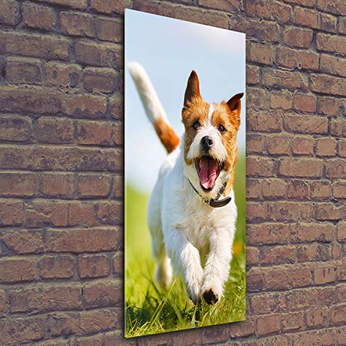 Impression sur verre acrylique Tulup Jack Russell de luxe