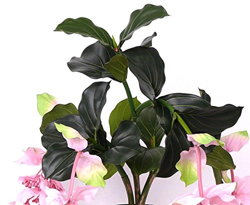 Künstliche Medinilla Tropen Kunstpflanze mit 4 rosa Blüten, 80cm hoch - Exotische Tropische Zierpflanze Medinille