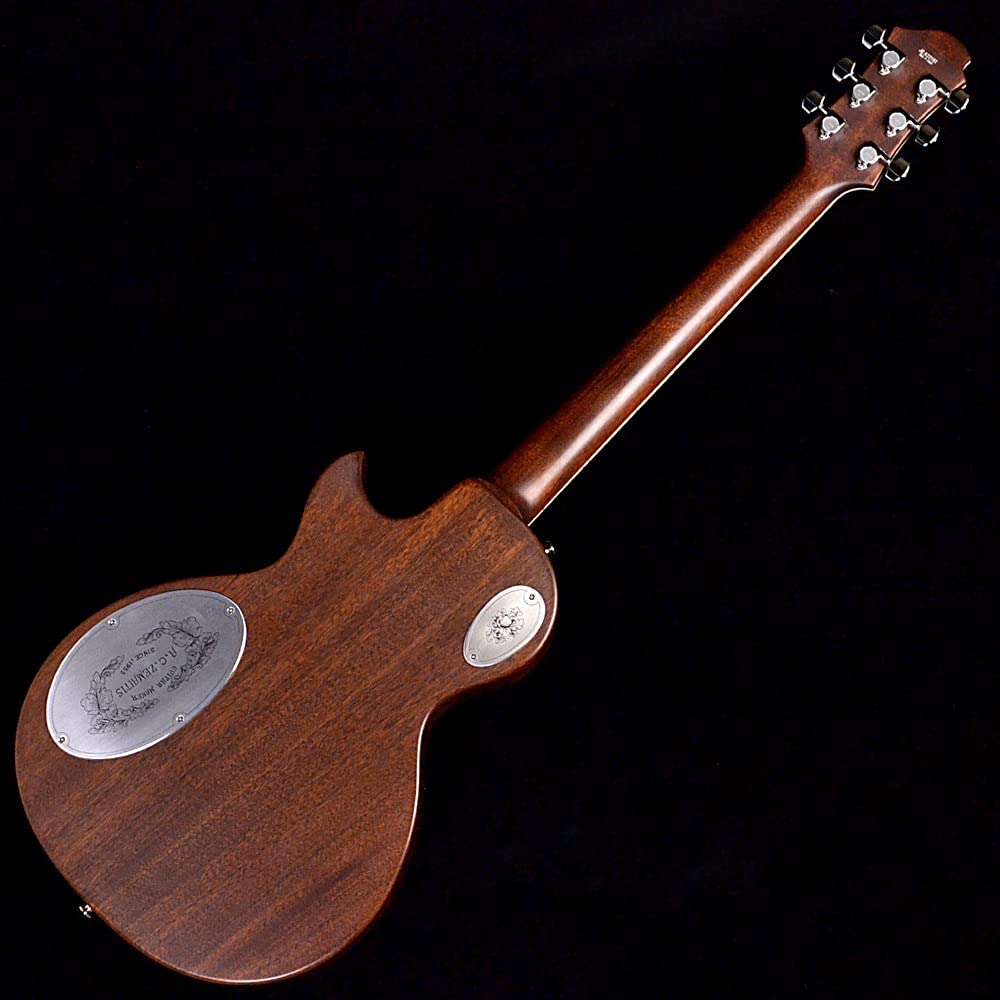 Amazon | Zemaitis ゼマイティス Metal Fronts MFG-AC-22, Natural