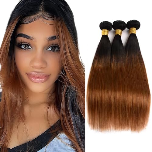 Biliisyff 1B/30 Ombre Bundles Straight Human Hair...
