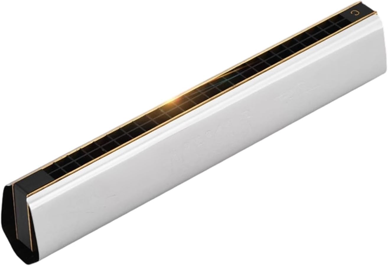 バンドハーモニカ 24穴エコーCハーモニカの演奏と練習用楽器