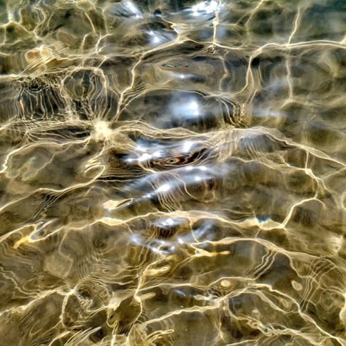 Marux&iacute;a na fronteira n&uacute;mero 188-2026