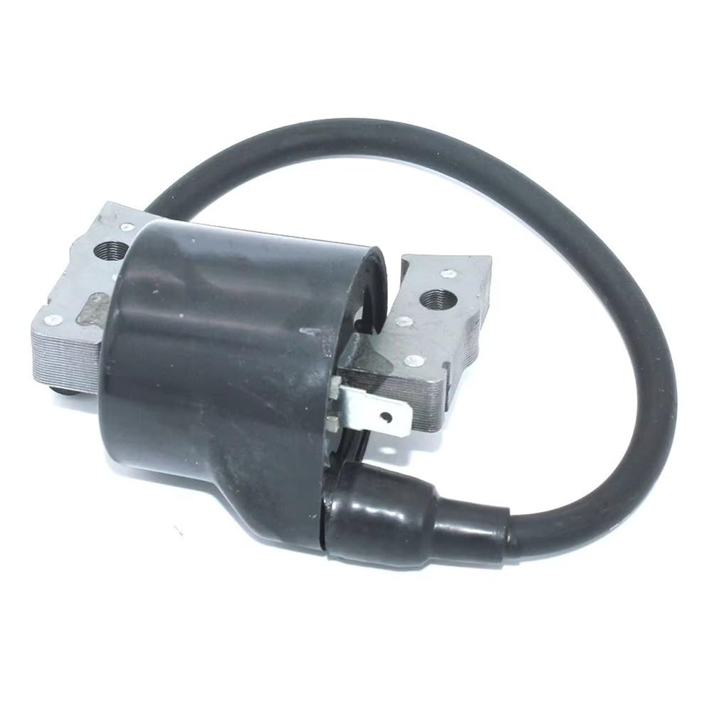 Bobine d'allumage 21121-2069 compatible avec AM109258 M70111