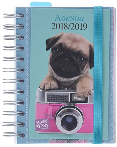 Grupo Erik Editores Studio Pets - Agenda escolar
