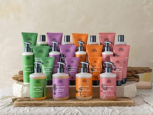 Tune In - Maximum Shine - Soothing Lavender Shampoo, Organic, 500 ml, 500 ml (Pack of 1) - Image 4