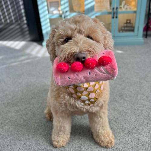 CHEWFFON Dog Enrichment Toys, Dog Puzzle Interactive Toy, Puppy Birthday Cake Toy for Boredom and Stimulating, Slow Feeding Snuffle Mat Crinkle Gift for Small and Medium Dogs - Image 7