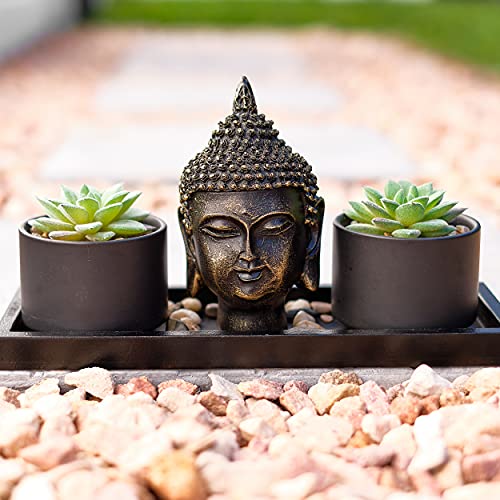 Buddha Statue & Succulent Zen Garden Set- Buddha Head Statue W/ Wooden Display Tray & Stones| Buddha Decor For Home Decor. Beautiful & Peaceful. Great Meditation Gifts. #TOP6