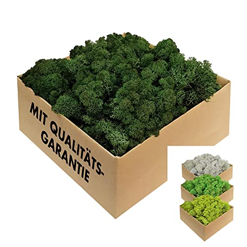 GJS Musgo islandés conservado en 200 g/500 g/1 kg/4 kg para imágenes de musgo, como decoración o para manualidades (verde oscuro, 1 kg)