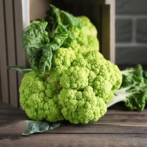 semillas de coliflor, organicas semillas de coliflor 400pcs