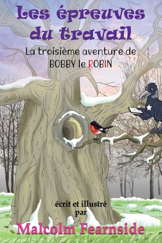 Les épreuves du travail: La troisième aventure de BOBBY le ROBIN (French Edition)