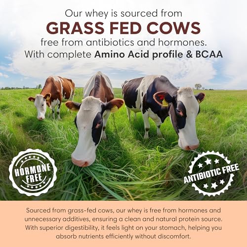Image of Foodstrong Whey Protein Powder (Concentrate + Isolate), 100% Hormone Free Grass-Fed Whey, 26G Protein & 6.6G BCAA, Peanut Butter, With Turmeric & Digestive Enzymes, 1KG