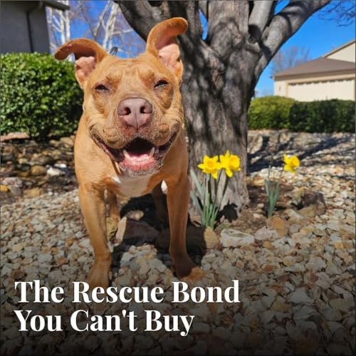 The Rescue Bond You Can't Buy