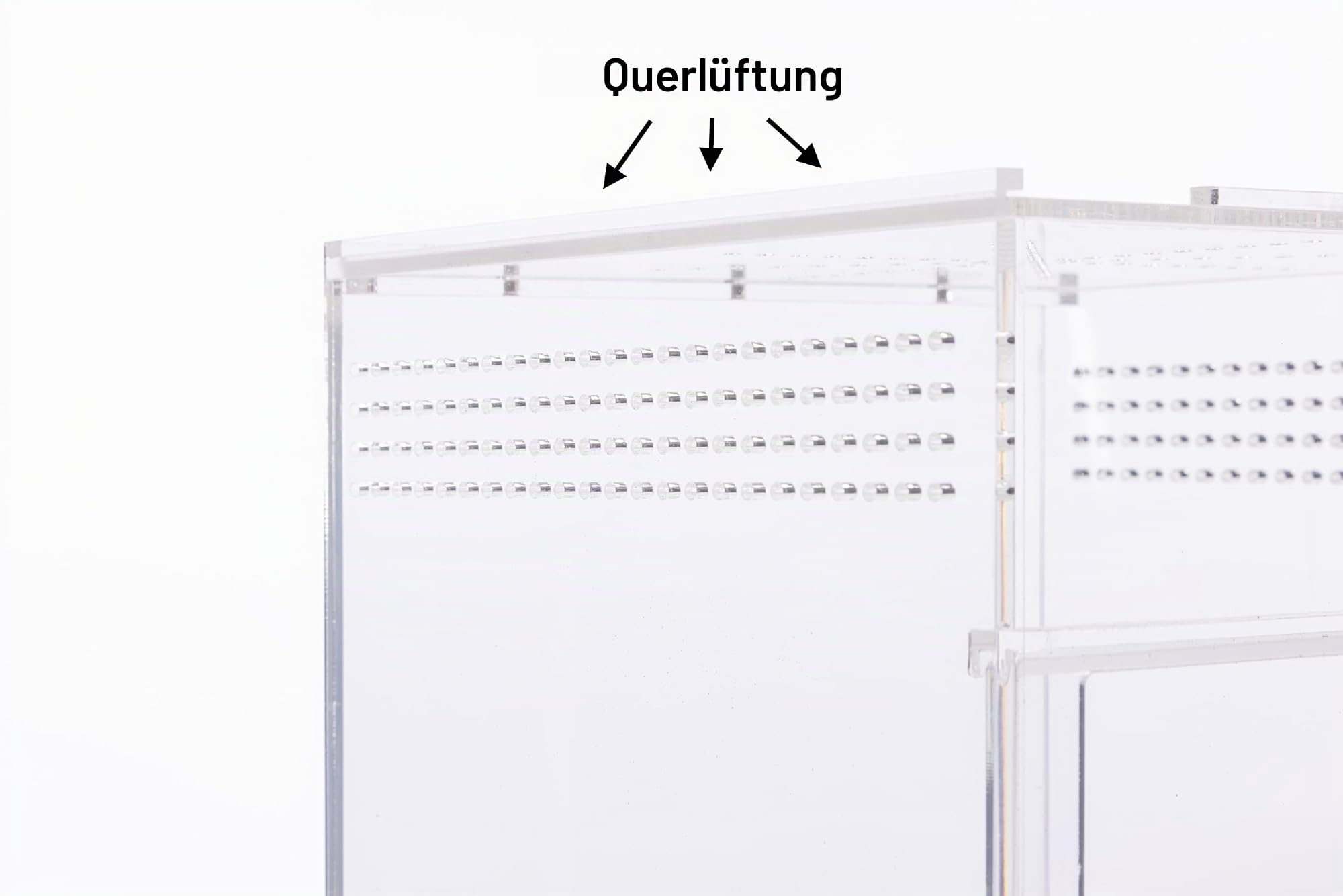 Springspinnengehege, Springspinnenwohnraum, Spinnen-Terrarium Kit, Springspinnengehege Zubehör, Spinnenkäfig, Käferterrarium, Insektenterrarium, Schneckenlebensraum, Arboreal Tarantel Gehege