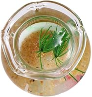 Vista 2 de Pescadera miniatura, pecera de casa de muñecas 1 12 tanque de peces de cristal en miniatura, pecera pequeña para decoración de escena de jardín