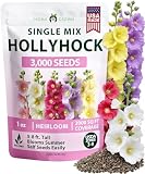 HOME GROWN Hollyhock Single Mix 3000 Flower Seeds 1 oz