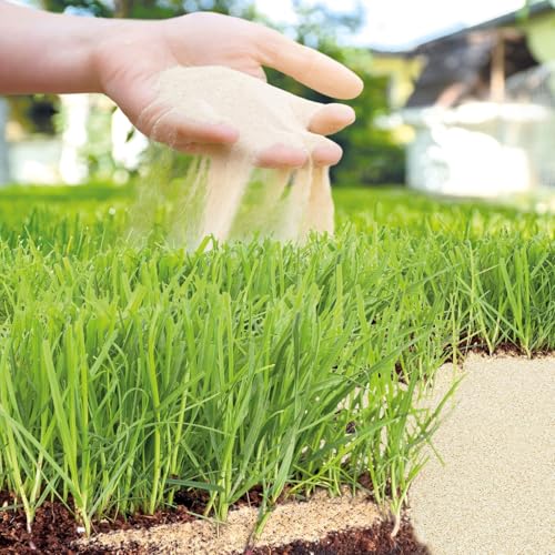 Rasensand, 0,2-2 mm, 10 kg