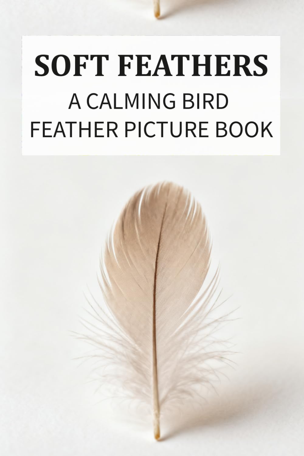 Soft Feathers: A Calming Bird Feather Picture Book for Dementia and Alzheimer’s Care: Gentle Colors, Soft Patterns, and Simple Phrases for Relaxation ... (Picture Books for Seniors and Dementia Care)