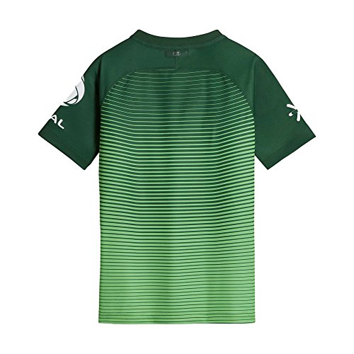 Nike Youth Club America Third Gorge Green/White Jersey - S