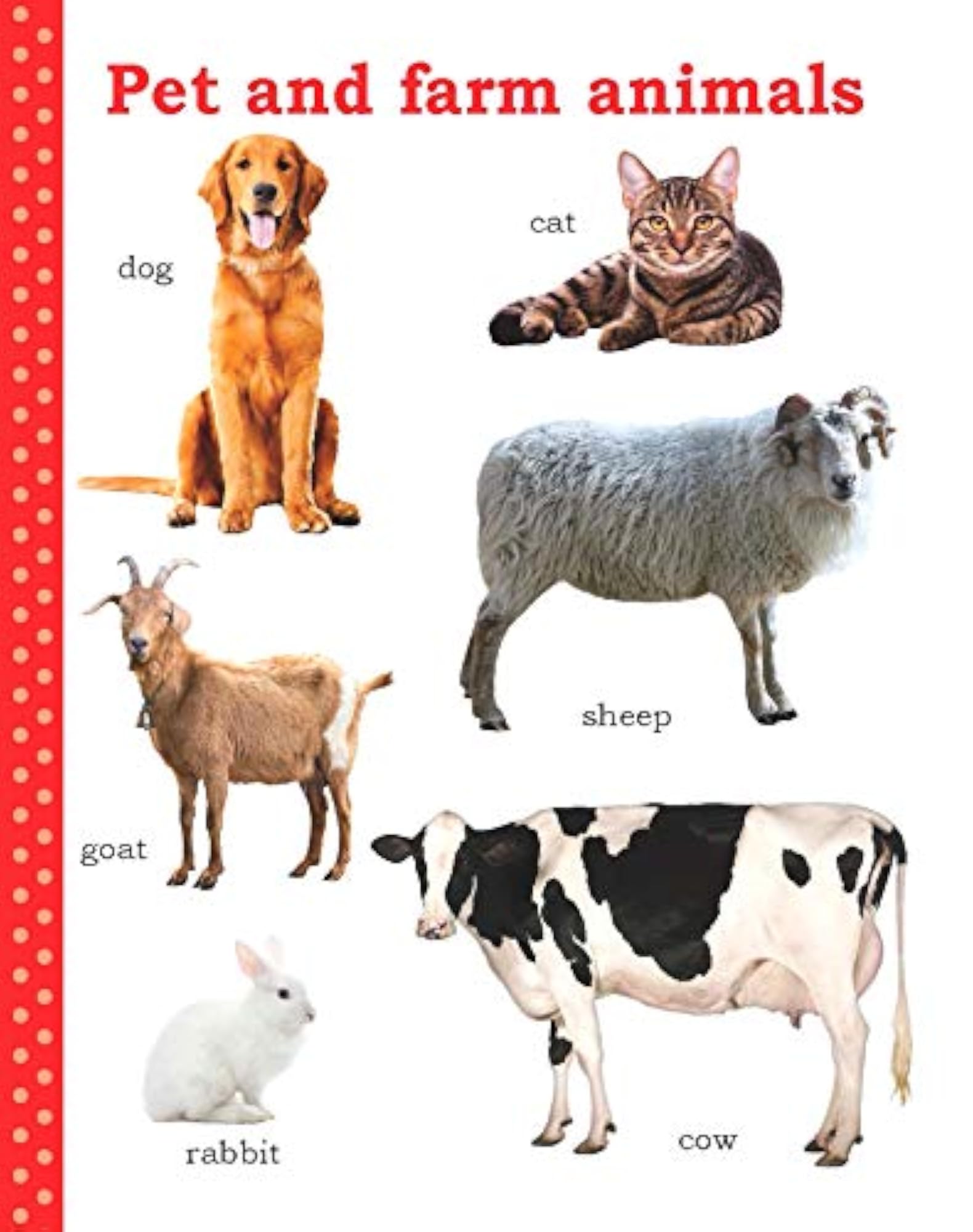 My First Picture Book of Animals
