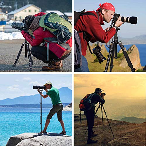 Gwnnsh Camera Lightweight Travel Tripod, 58” Detachable Monopod, Aluminum Ball Head Stand 3 X Control Knobs With Calibration, Dslr Qr Plate, Level Indicator, Flip Lock Design. Dare To Compare #TOP4