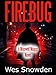 FIREBUG: A city burns while a psychopathic killer lurks in the shadows (English Edition)
