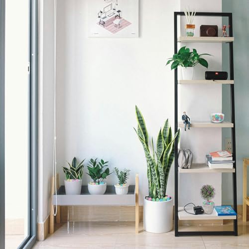 Rocas para decorar patios oscuros sin gastar luz ni usar cables molestos 8