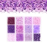 TOAOB 1600 Piezas Cuentas para Pulseras de Cristal 2 a 5 mm Serie Lila Perlas de Vidrio Semillas Pequeñas Cuentas Set para DIY Collar Artesanía Fabricación de Joyas