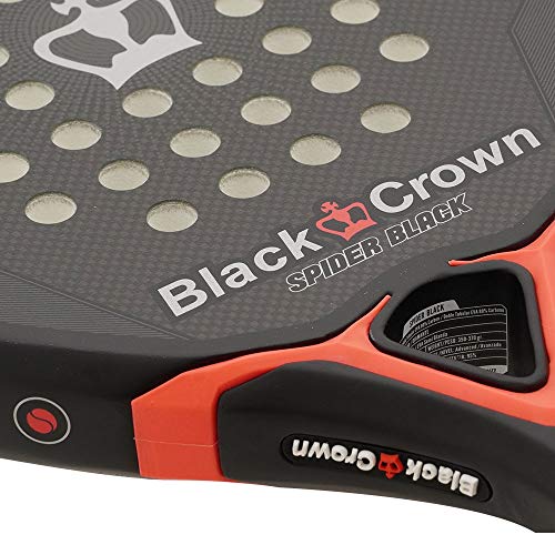 Black Crown Spider Black