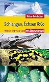  Schlangen, Echsen & Co.: Wissen und Quiz-Spass mit Lösungsspiegel (Natur-Entdecker)