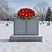 Sympathy Silks Artificial Cemetery Flowers - Winter Memorial Flowers - Christmas Poinsettias - Red Poinsettias Saddle for Headstone