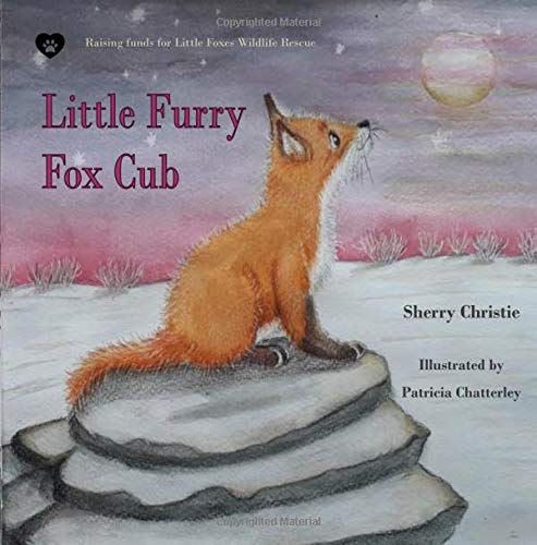 Little Furry Fox Cub