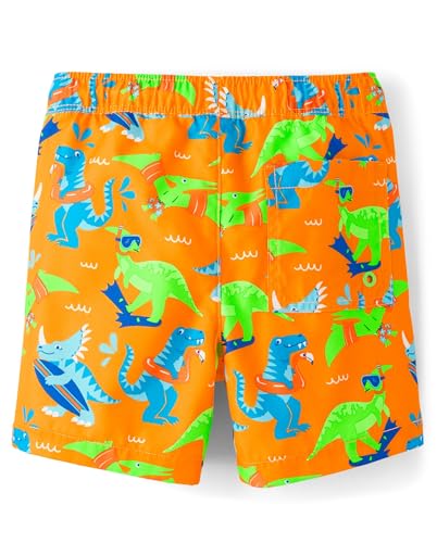 Image of Gymboree Boys and Toddler Swim Trunks