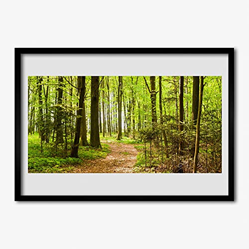 Affiche encadrée 70x50 cm voie forestière nature avec cadre en MDF noir Tulup pour salon